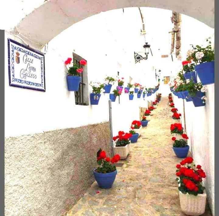Casa Pepa Apartman Algar  Kültér fotó